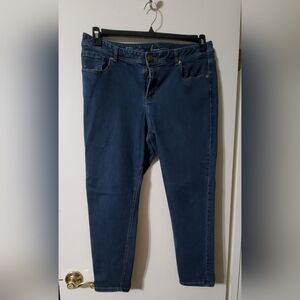 Lane Bryant Skinny Genuis Fit Jeans